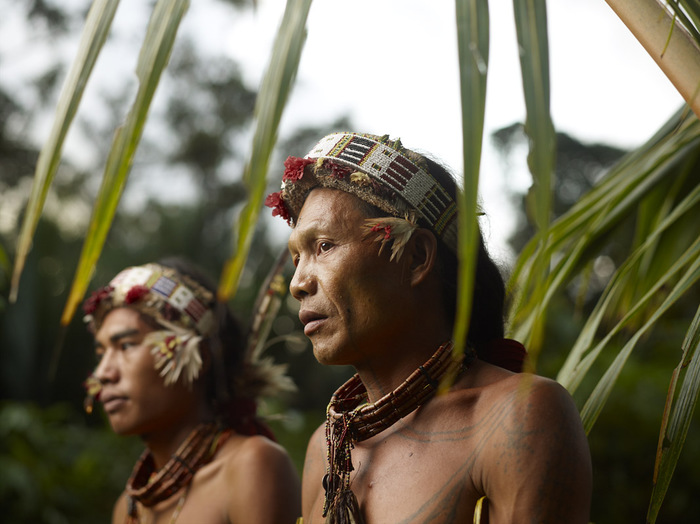 10_the_mentawai_joey_l (700x524, 111Kb)