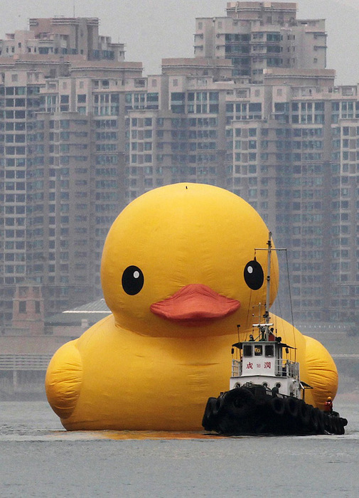 гигансткий желтый утенок Rubber Duck 1 (505x700, 141Kb)