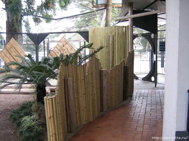 бамбук. бамбуковые фантазии (1) (640x480, 176Kb)