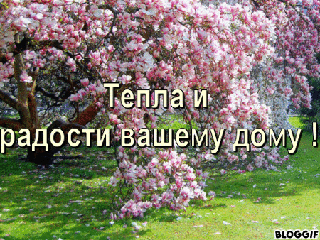 a2c0f712fbbda10054f5bd922eebbfa5[1] (450x338, 430Kb)