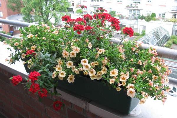 4497432_balconyflowersideas26 (600x400, 102Kb)