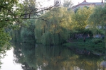 Превью DSC01020 (700x465, 302Kb)