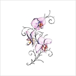 Превью Tattoo-Design-Orchid (650x650, 82Kb)