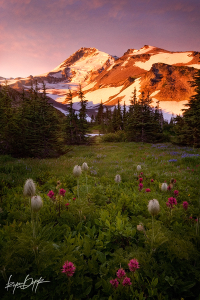4 (13) (400x600, 291Kb)