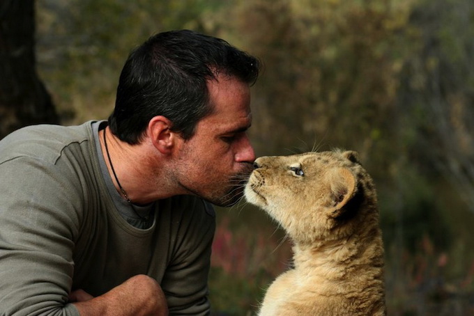 kevinrichardsonthelionwhisperer2 (680x454, 91Kb)