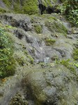  SAM_5633 (300x400, 75Kb)