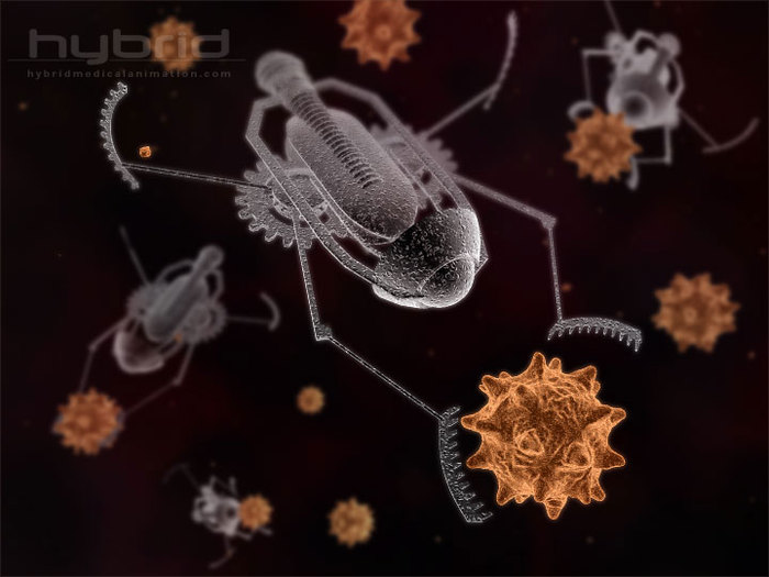nanobots (700x525, 56Kb)