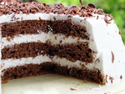 1259869_tort (500x375, 56Kb)