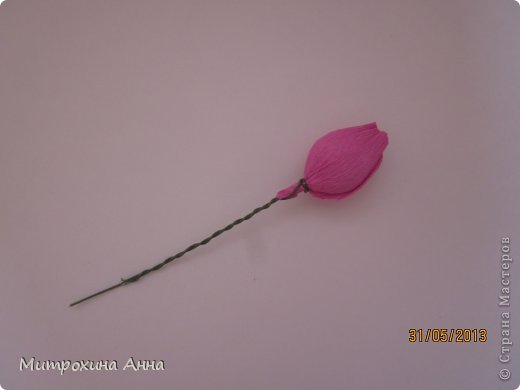 бутоны роз из гофрированной бумаги. мастер-класс (9) (520x390, 11Kb)