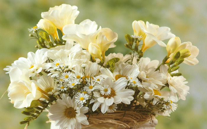 Язык цветов 397671_belye_cvety_buket_1920x1200_(www.GdeFon.ru) (700x437, 115Kb)