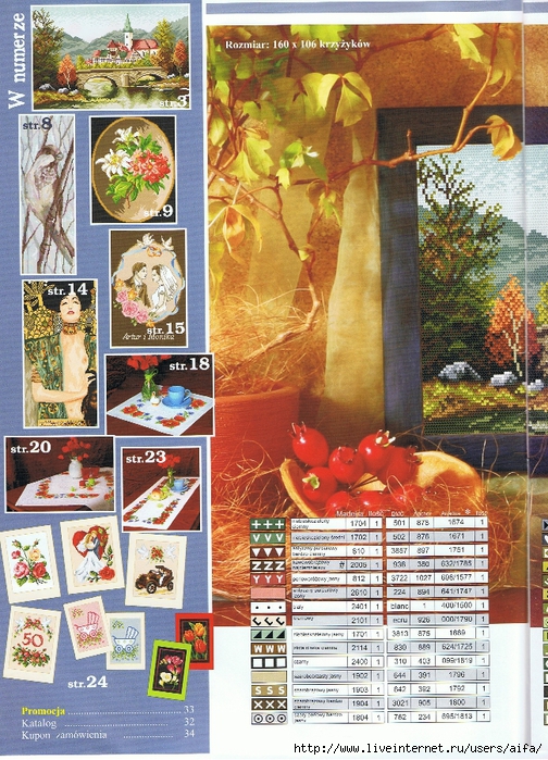 aifa1 (1) (504x700, 411Kb)