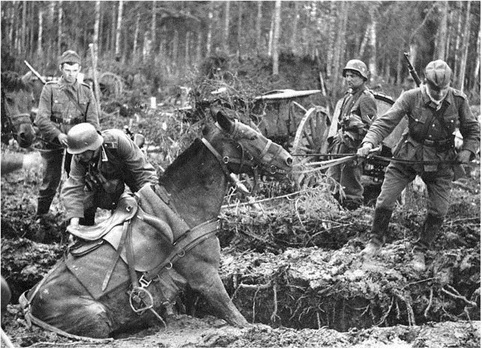 немецкие войска (699x506, 356Kb)