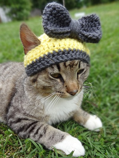 Кошки в шляпах (Cats in hats)