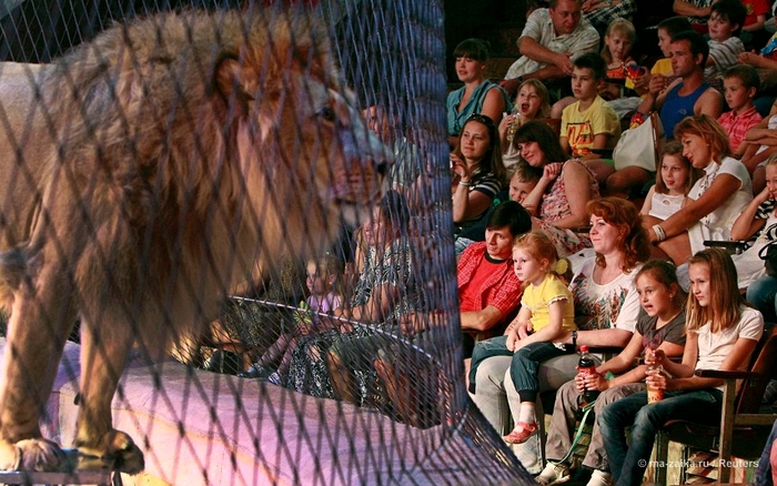 Танцы со львами: репетиция укротителя львов (Dances with lions: lion tamer rehearsals)/2270477_23 (700x438, 283Kb)