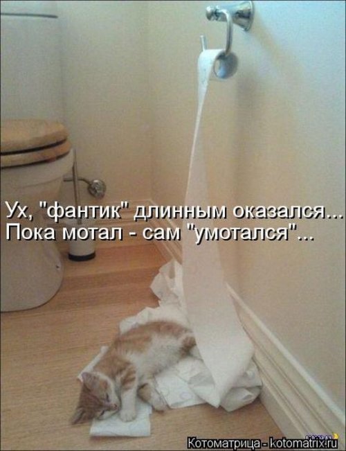 http://img1.liveinternet.ru/images/attach/c/8/101/830/101830269_large__18_.jpg