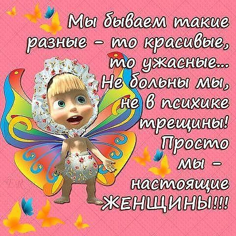   (480x480, 76Kb)