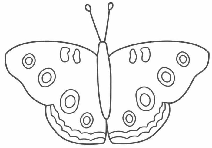 butterfly11 (700x489, 85Kb)
