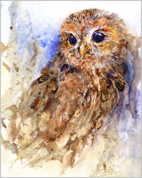 new_web_gall_tawny_owl (478x600, 317Kb)