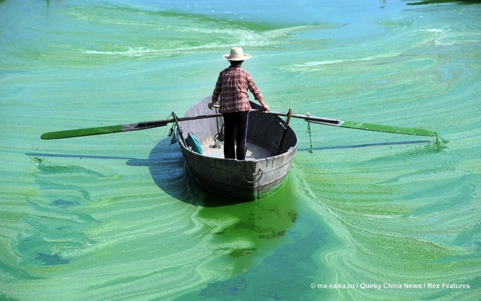 Картинки дня: 18 июня 2013 (Pictures of the day: 18 June 2013)