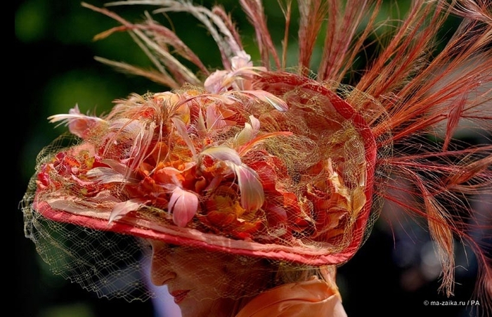 Королевские скачки в Аскот (Royal Ascot 2013)