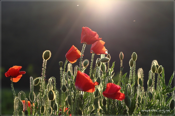 4 (7) (700x466, 237Kb)