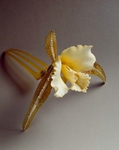 Превью cattleya-orchid-hair-ornament1 (556x700, 149Kb)