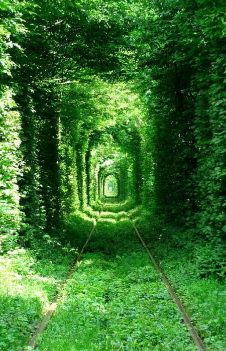 5-тоннель любви в городе Клевань (450x700, 481Kb)