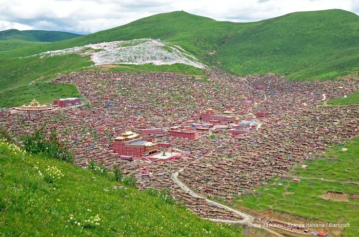 Дома тибетских буддистов на склоне Larung Gar