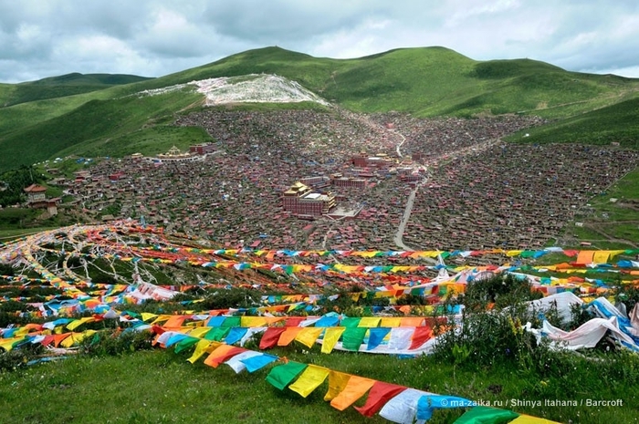 Дома тибетских буддистов на склоне Larung Gar