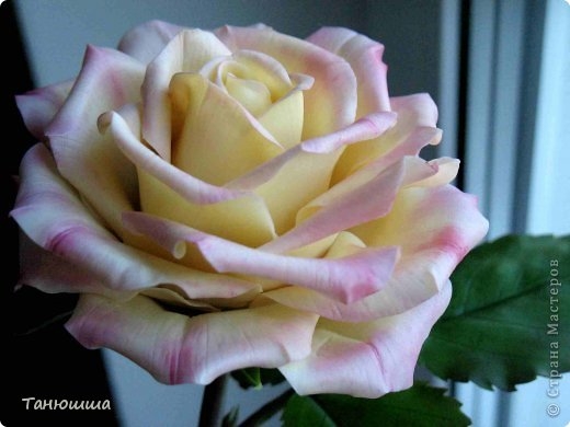 Розы из холодного фарфора и как сделать молды для лепки листьев (19) (520x390, 95Kb)
