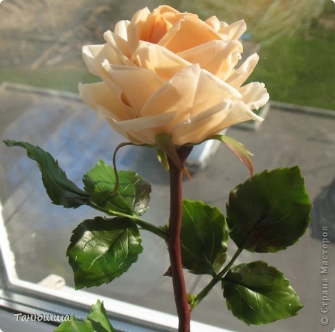 Розы из холодного фарфора и как сделать молды для лепки листьев (29) (484x480, 116Kb)