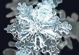 image (160x112, 11Kb)
