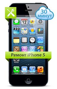 iPhone 5 ремонт/4552399_remont_iPhone_5 (195x304, 13Kb)