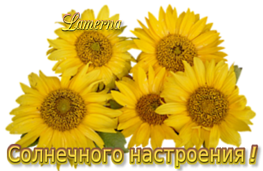 39e5b6e7dadcb737cb566bcd815bfb21 (380x247, 203Kb)