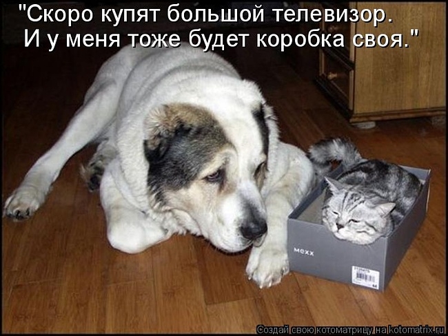 http://img1.liveinternet.ru/images/attach/c/8/102/8/102008733_large_0b03060df6dc2ef7c3faeeaf281df20a.jpg