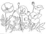 Превью ANZAC-Day-Poppies (700x525, 208Kb)