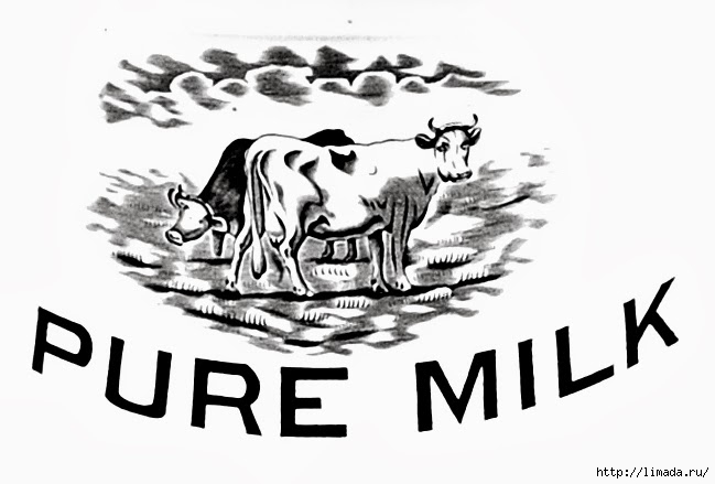 milk 210b (649x439, 112Kb)
