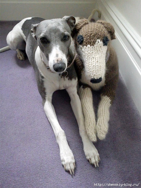 knitteddog12 (450x600, 203Kb)
