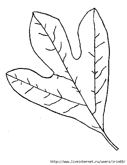 leaf3 (407x529, 68Kb)