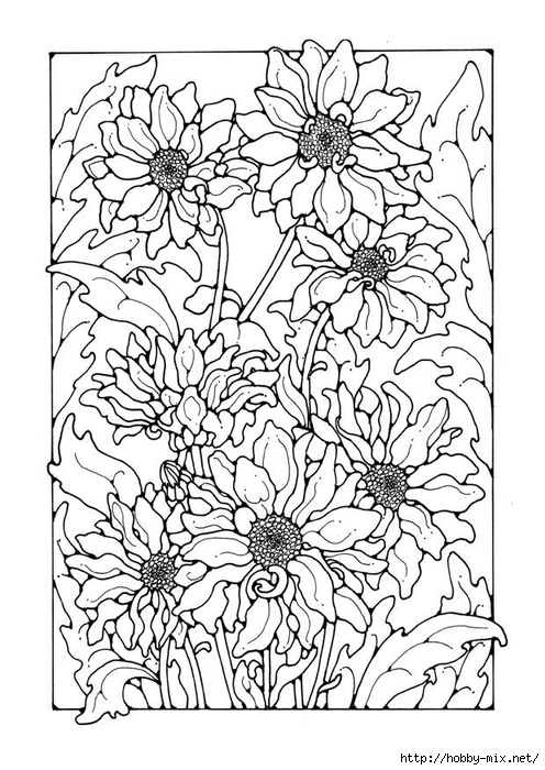 chrysanthemum-27768 (496x700, 274Kb)