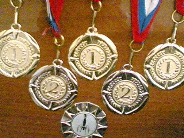 медали (600x450, 235Kb)