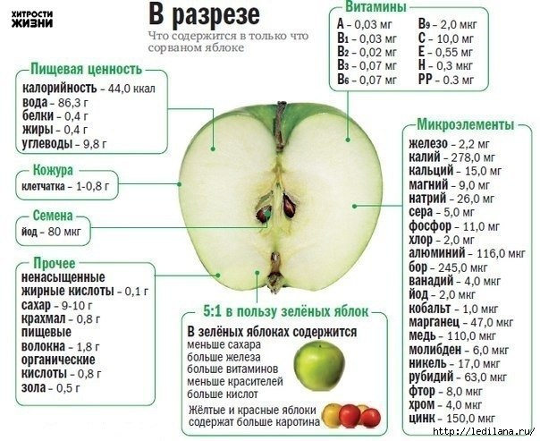 3925311_yabloko__tablica_poleznostei (604x493, 179Kb)