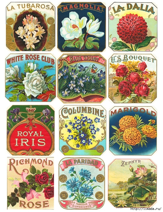 free-floral-cigar-labels-ss (540x700, 430Kb)