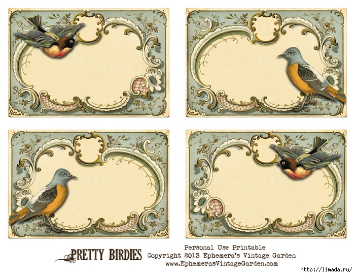 PrettyBirdies (700x541, 344Kb)