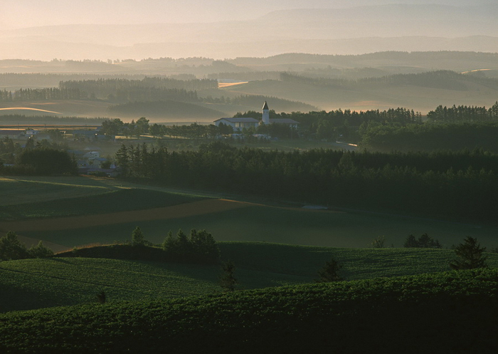     !  Furano  Biei!