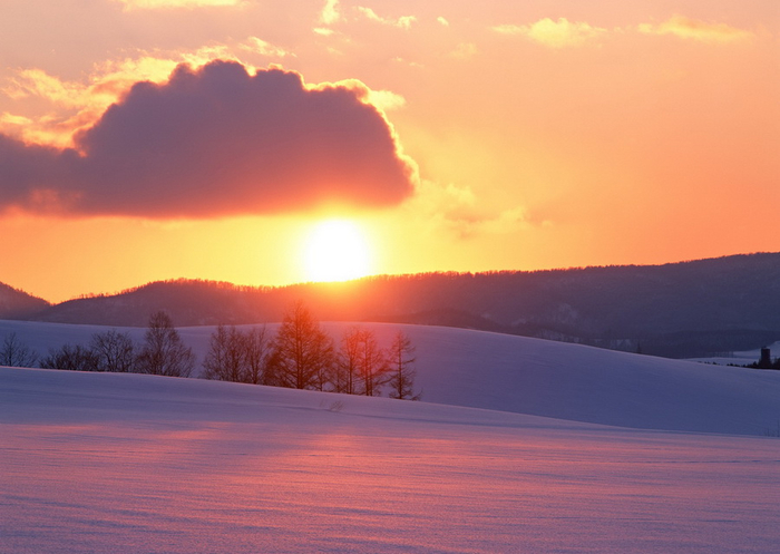     !  Furano  Biei!