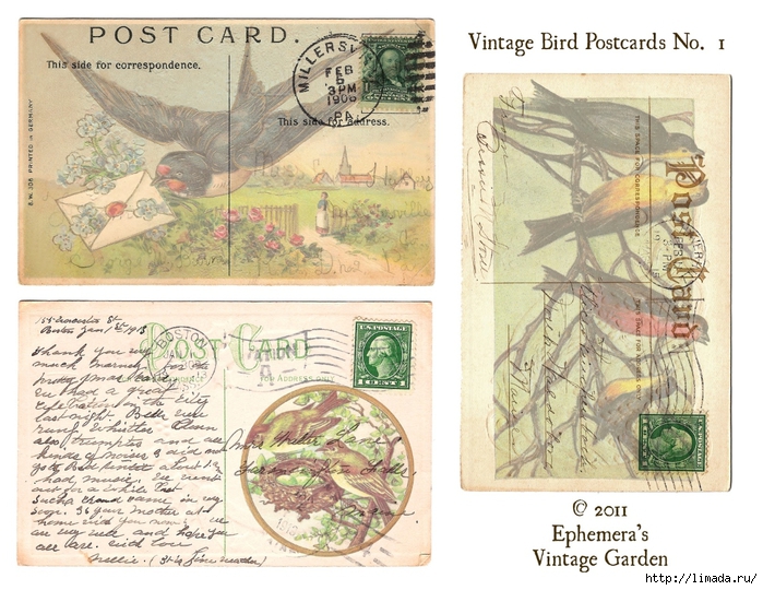 postcard birds collage sheet (700x540, 326Kb)