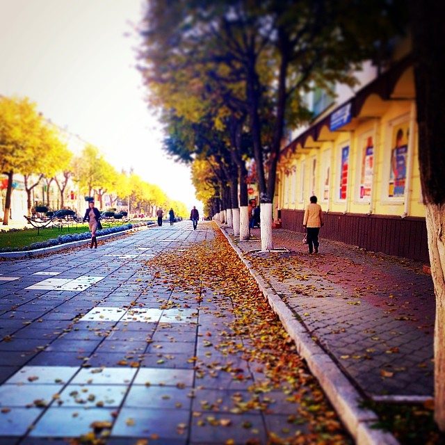 осень 10 (640x640, 454Kb)