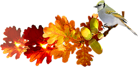 5230261_l (450x218, 116Kb)