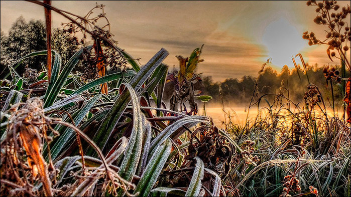 Осенний утренник/3673959_11 (700x393, 148Kb)